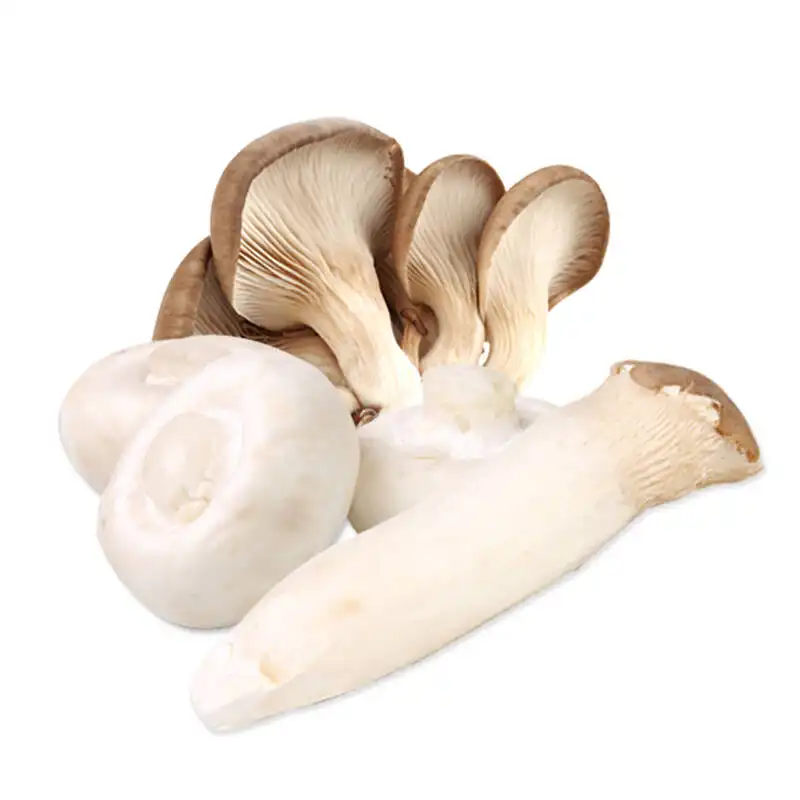 Ergothioneine Powder Benefits: Why It’s Gaining Attention